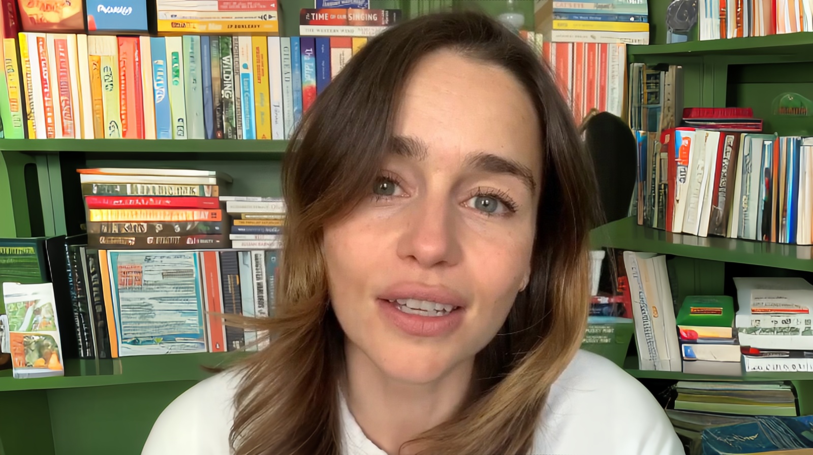 حافظ شیرازی یا شاعر میزوری